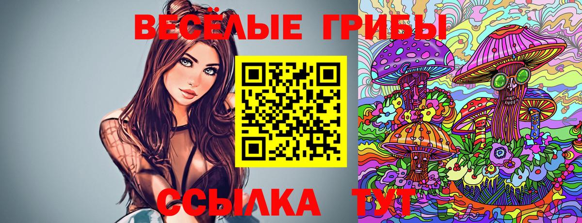 Псилоцибиновые грибы Cubensis Унеча